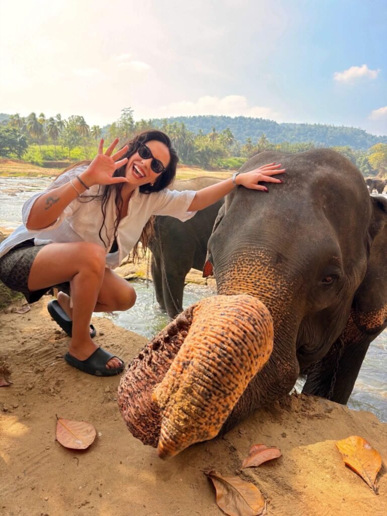 626855797 122167747844938892 6081994217340422754 n