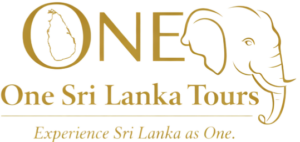 Travelers planning a Sri Lanka journey while enjoying scenic views