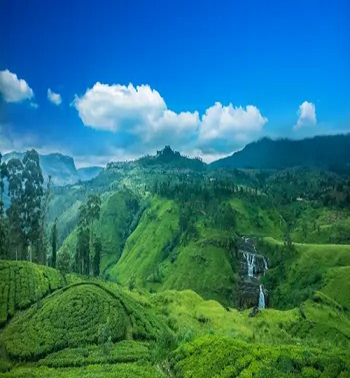 one sri lanka tours sri lanka landscape nuwaaeliya estate visit sri lanka tour package