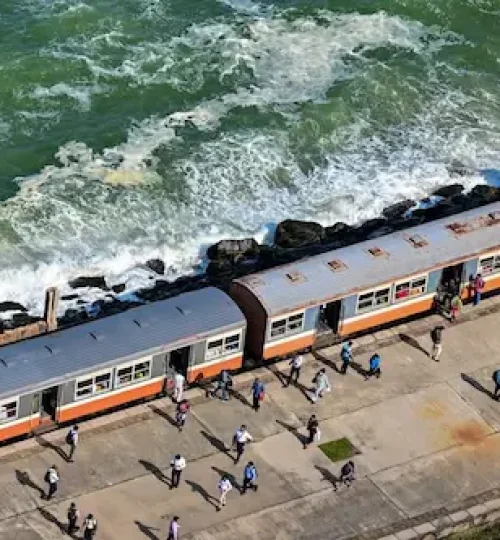 504001685 10231738680664175 1897223829217298647 n