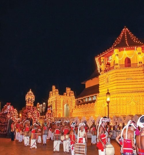 mg 0765 1024x817 1 (1)