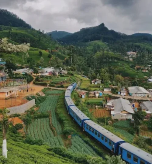 anton lecock tptansbow9q unsplash