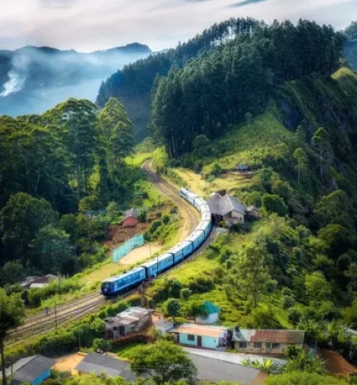 anup mishra o2jdibhtlos unsplash